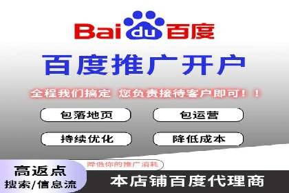 某公司通过百度竞价实现业务快速增长的案例